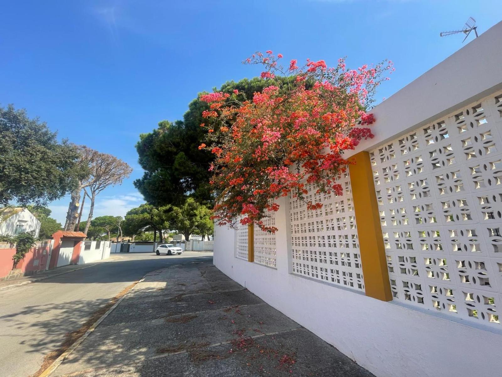 Pescadores Del Sur Chiclana de la Frontera Exterior photo